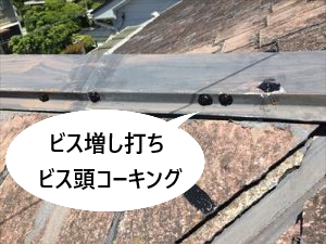 棟板金　ビス増し打ち